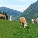 Schmalzgrubengut *