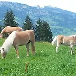 Schmalzgrubengut Daire Bad Hofgastein