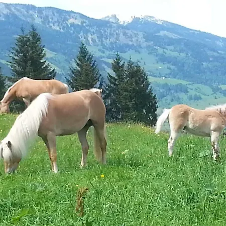 Schmalzgrubengut Apartment Bad Hofgastein