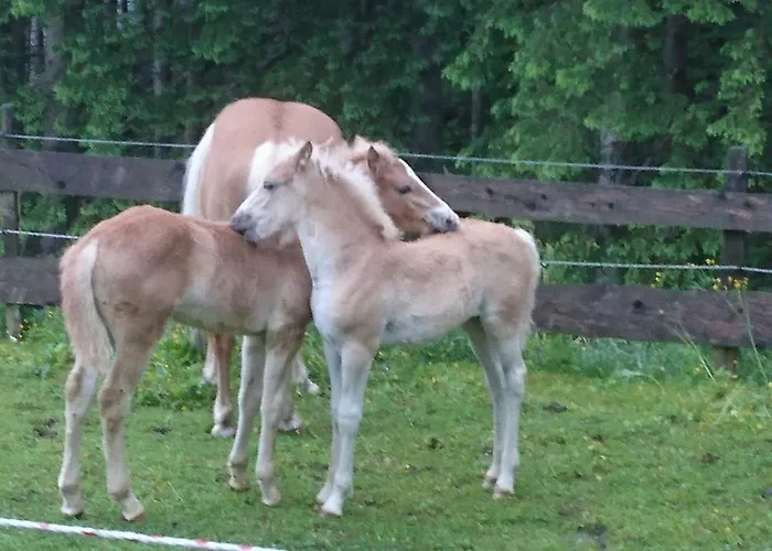 Schmalzgrubengut * Bad Hofgastein