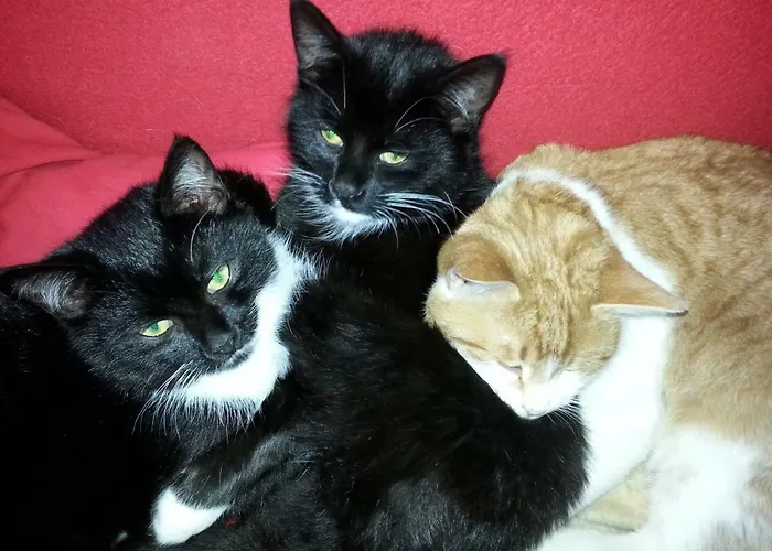 Appartamento Schmalzgrubengut *